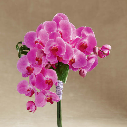 Glorious Bouquet –  Joya Flowers, Central Islip NY