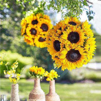 Sublime Garden Hanging Arrangement –  Joya Flowers, Central Islip NY