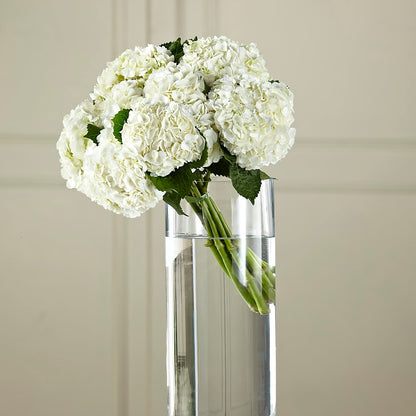 White Hydrangea Hand-Tied Bouquet –  Joya Flowers, Central Islip NY