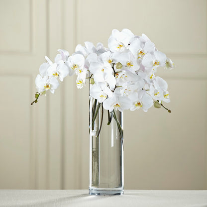 White Phalaenopsis Bouquet –  Joya Flowers, Central Islip NY