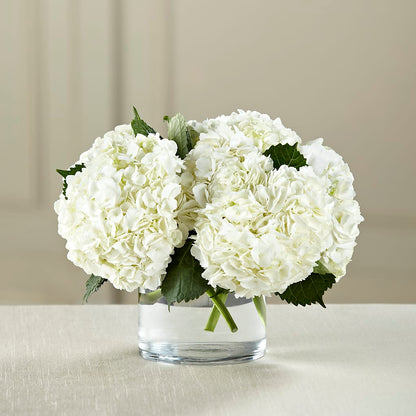 White Hydrangea Bouquet –  Joya Flowers, Central Islip NY